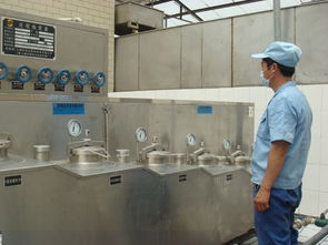 光彩在传承中绽放 许昌腐竹产业的昨天、今天与明天