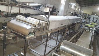 全自动米皮机 现代化生产设备的革新与应用